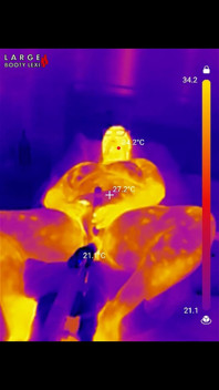 Pierwsza bbc sex machine jebanie: naoliwiony BBW spuści ciężko na twój masywny kutas, 15 min jazdy i spust odliczanie, POV Thermal