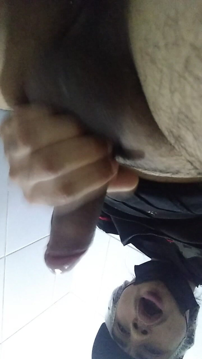 AlexAlejandro13: 잘라다스