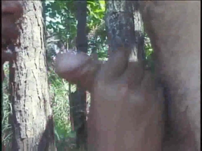 Shemale videos: Puma ebenholts shemale knullad latino twink i skogen