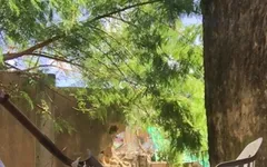 The Work Teacher Willing to Put His Body Into Practice