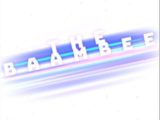 TheBaambee: Baambee одна дома