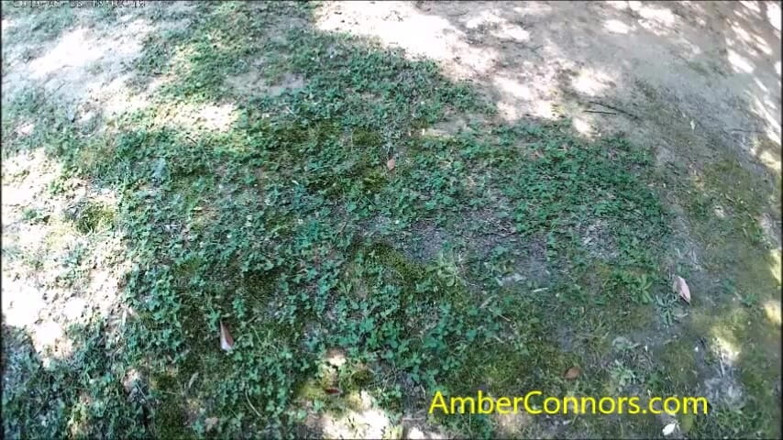 Amber Connors: Pipì mattutino d'estate