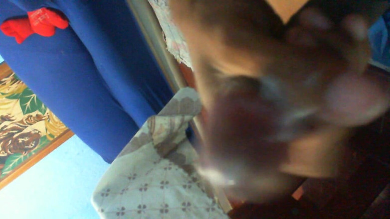Magnocba: Good Morning My Life