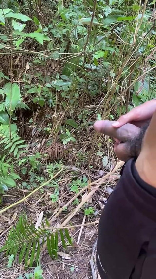 Vida Noite: Писсссированная страстной писсирует на тропах