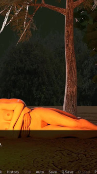 Castaway hikayesi: gecenin derinliklerinde seks döllenmeyle bitiyor - bölüm 23
