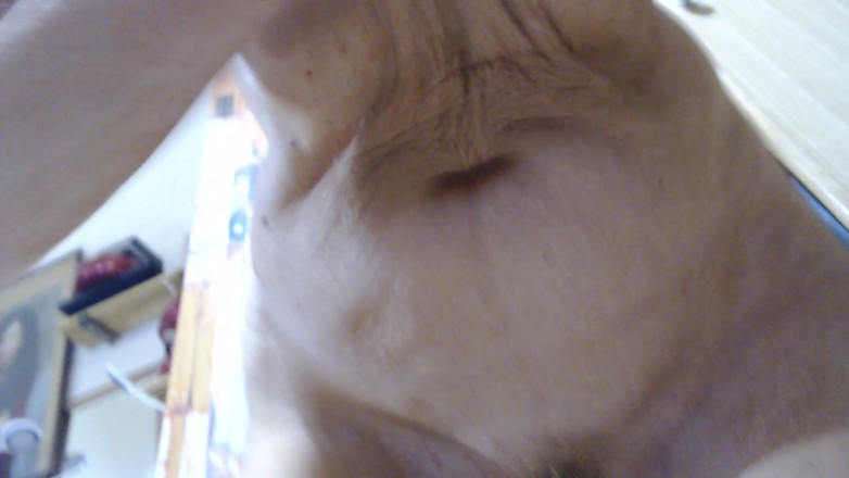 WEBREGINETTA2023: Hãy tham quan Ý