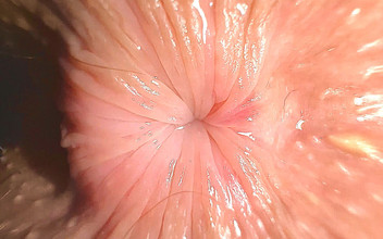 Gigi oficial: Extreme Close up: Teenage Butthole Is Trying to Kiss You...