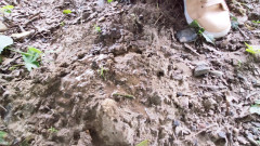 Adele Amber: Дощ у природі