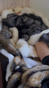 털을 많이 가지고 놀고 놀아! 털 수레를 입은 자위