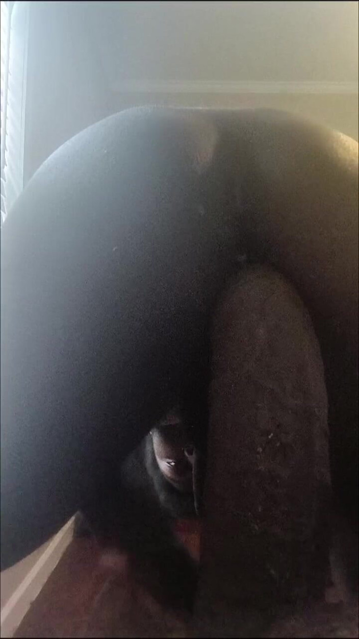 DaBlackFemboy: Femboy Addicted BBC tem orgasmos cremosos de peidar