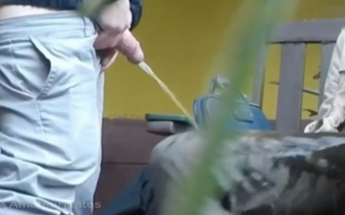 AmateurBoysPissing: Une Rencontre Sur Banc Finit En Humiliation De Pisse En...