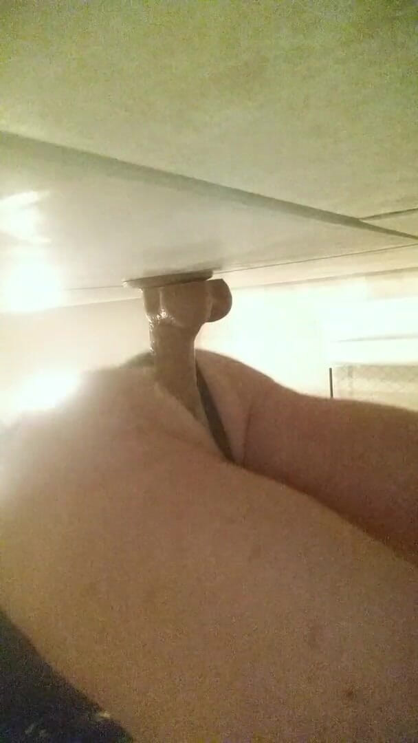 Lady Catherine's Domain: 8 dildo wall slam