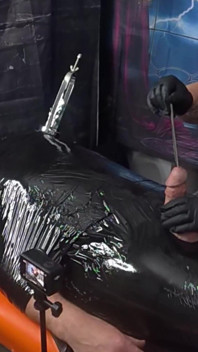Dexter-tijd voor Latex Bubble