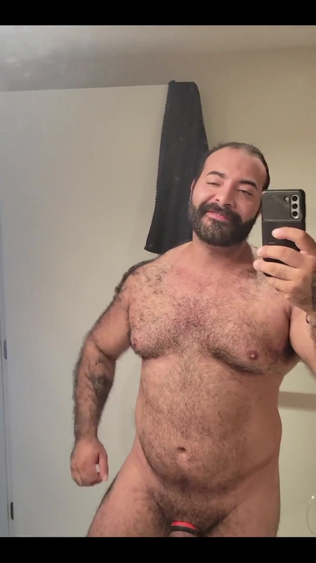 Happy Towel Tuesday. (Lobo) Happy Towel Tuesday. (Lobo)