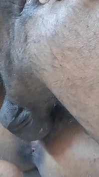 Girlfriend Sex Part 1