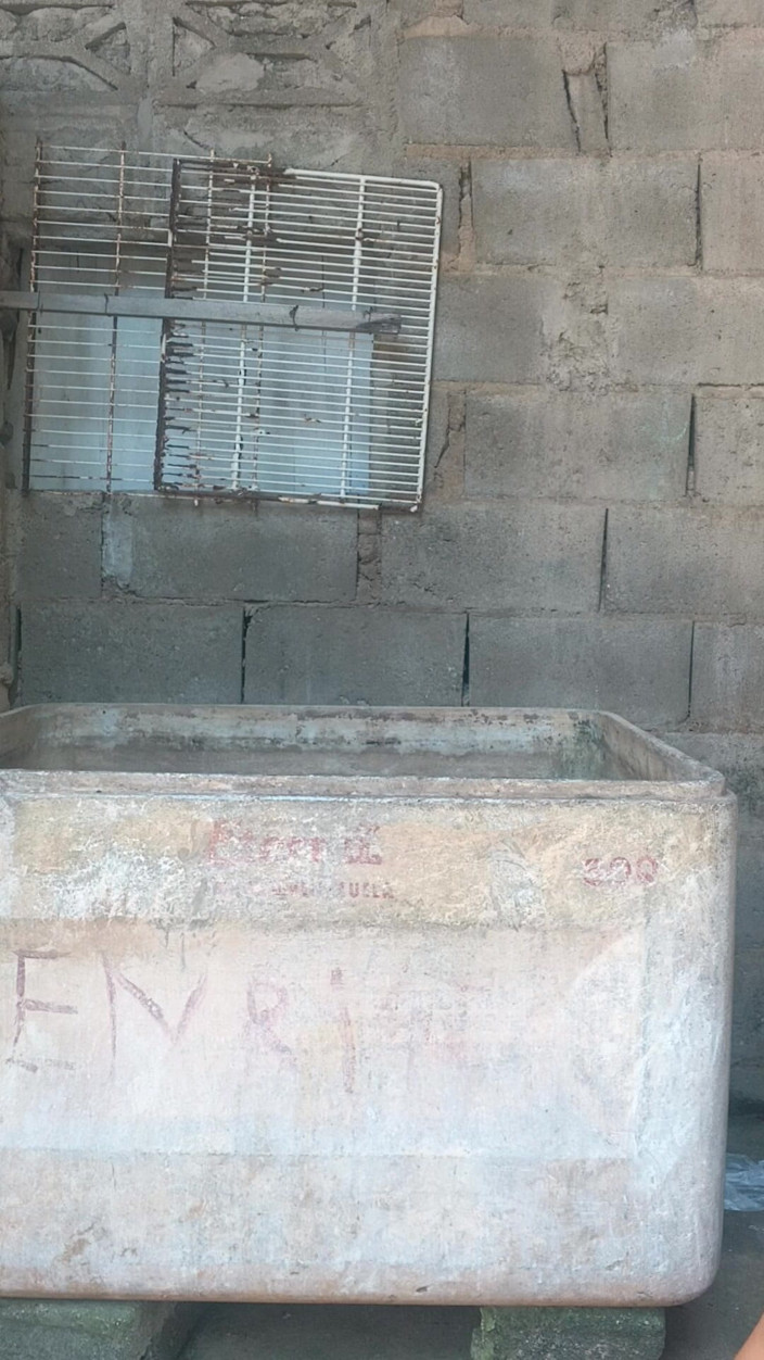 Yosking19: Bütün bunları yemek isteyen bir kadına ihtiyacım var