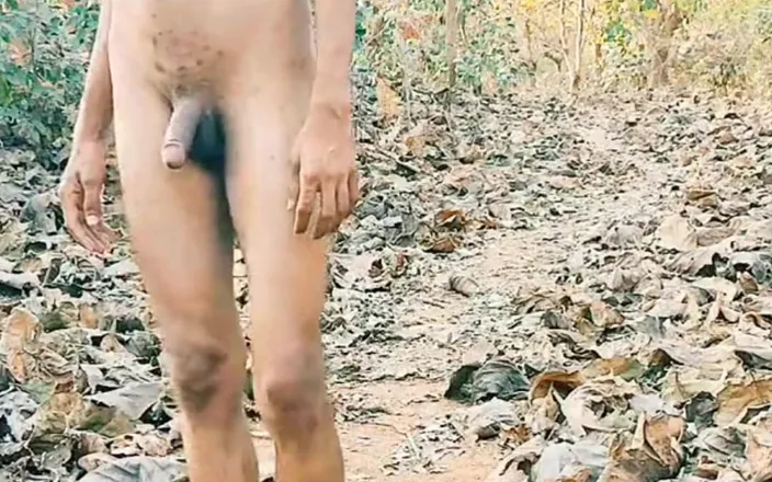 Tani: Cumming Public