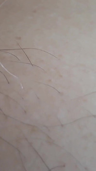 Close-up