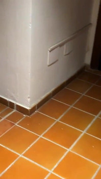 I Knock on My Pregnant Neighbor's Door, She Lets Me Into the House, Sucks My Cock and Gets Fucked