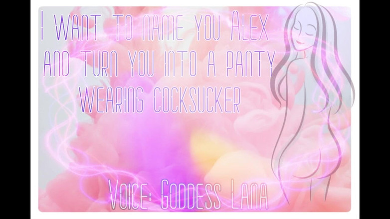 Campsissyboi: アレックスと名付けて、チンピラに変身させたい