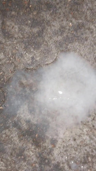 Boy Cumming Short at Afternoon