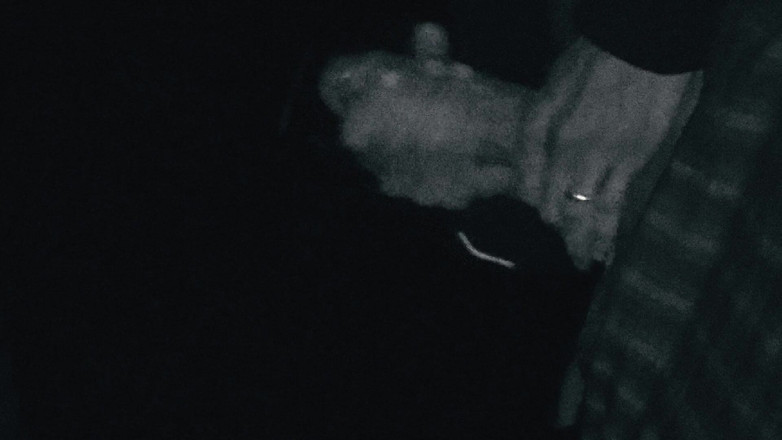 Naughty Cock: A Jerk off in Cold Weather During the Holidays to...