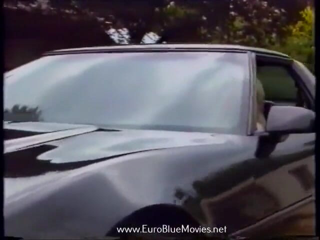 Euro Blue Movies: Sex party aan zee (1993)