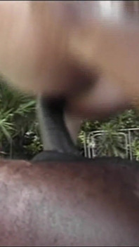 Hot Stallion Nasty Tales!!! - (episode #05)