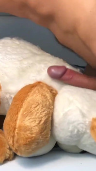 Teddy Orgasm Morning Dirty Talks Solo Cum