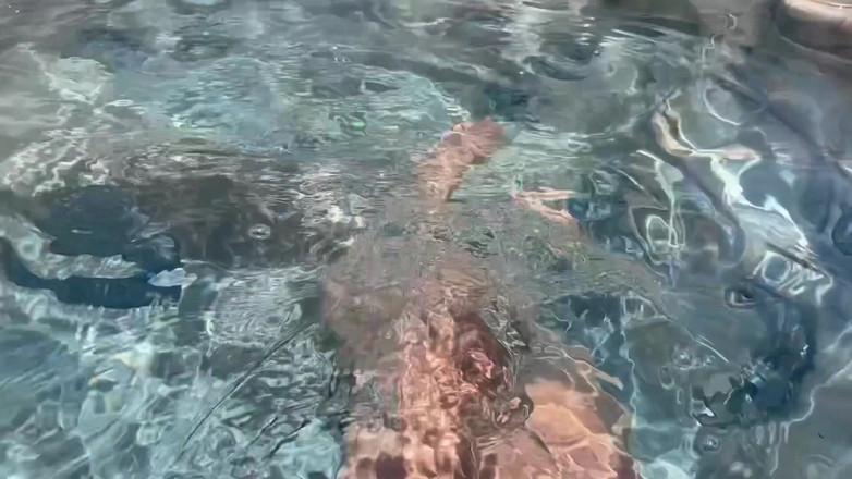 Artemisia Love: 意大利大奶子artemisia喜欢性感的第一人称视角阴户在按摩浴缸里玩弄饥渴和湿润