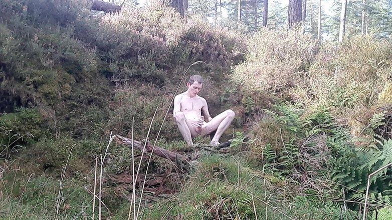 Forest Boi: Quay tay ngoài trời