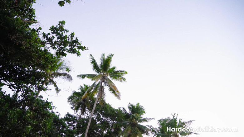 Hardcore Holiday: Usikan tepi pantai dengan Candice Demellza