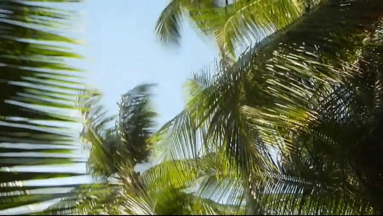 Watch4beauty: Swelter