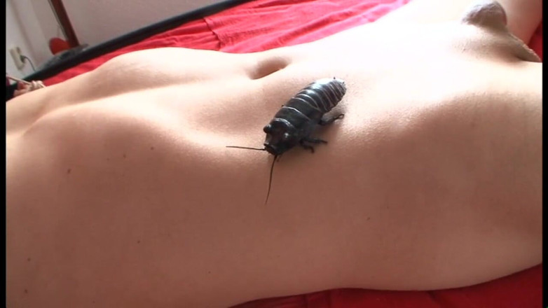 Absolute BDSM films - The original: Female submission - Scene #01