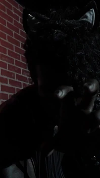 Catman boy, Wonder Montage