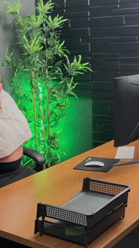 Iluvshauna wird auf dem schreibtisch bei der arbeit gefickt, bts