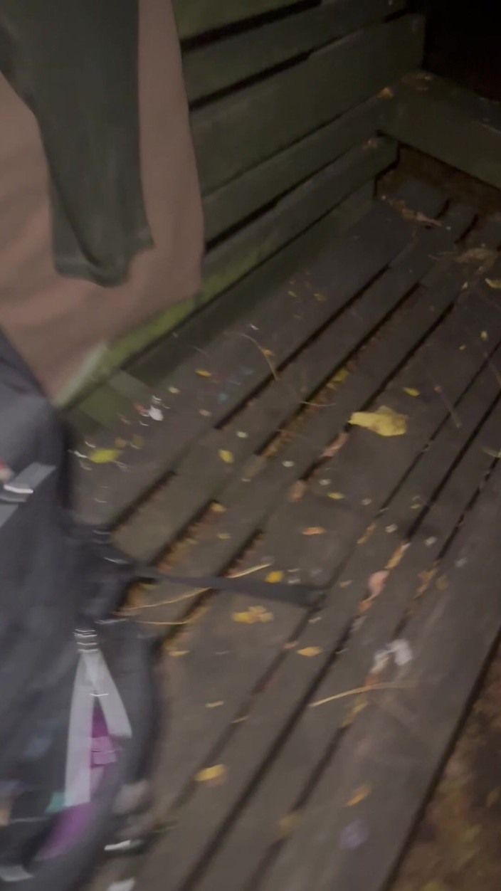 Chase Dixon-Butz: Une Nuit Dans Le Parc