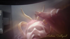 Mxtress Valleycat: Riesen-liebhaber-Lotterie