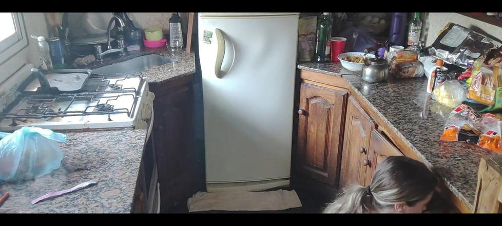 RavenHearth666VIP: Dia de limpeza 