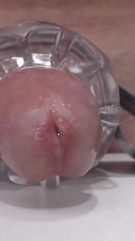 Dick Cums Closeup