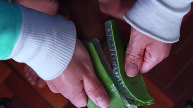 MGEc21: Folosind Aloe Vera ca Fleshlight