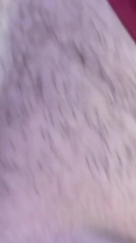 Step Brother Wears My Panties and Gives Me a Creampie