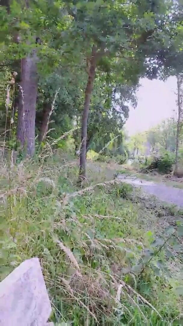 Slutboyben: Slutboyben Cam4 Mega exhibiționist public sexy porc