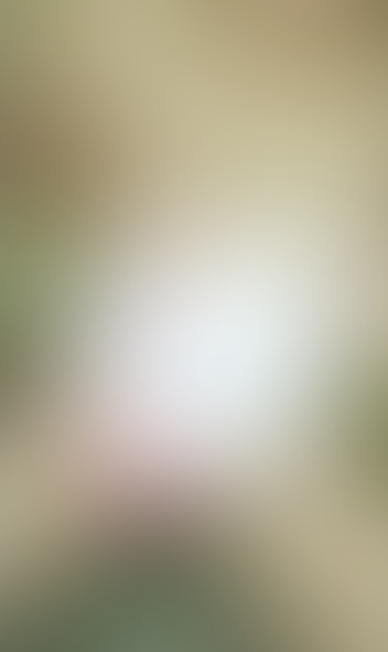 Locked due to age restriction