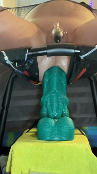 Saltando nos brinquedos de Hankey Xxl