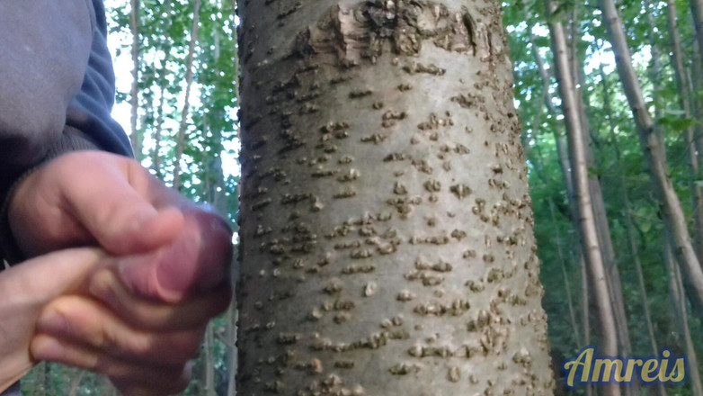 Amreis: Ngentot, aku nggak kuat lagi dan crot di hutan dekat...
