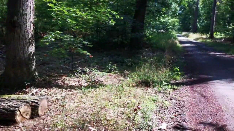 Bouncy Tits Action: Best of Pussy 2020 - Försök att inte komma utmaning