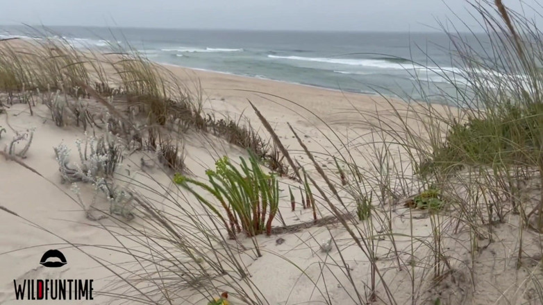 Wildfuntime: Knullar i sanddynerna