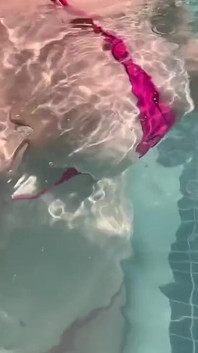 Artemisia Love Sexy and Horny Underwater Showing Her Big Tits in a Super Micro Bikini and You Can See Her Aureolas…