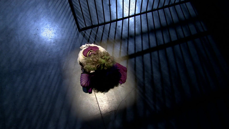 Superhero: Cat-woman Helps Joker Escape From Imprisonment and Lets Him Screw...